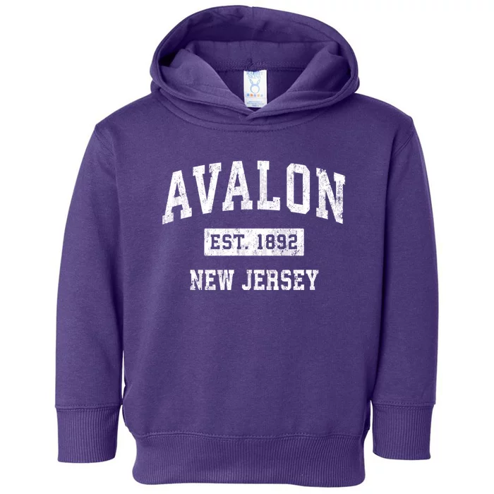 Avalon Est 1892 New Jersey Nj Vintage Sports Design Toddler Hoodie