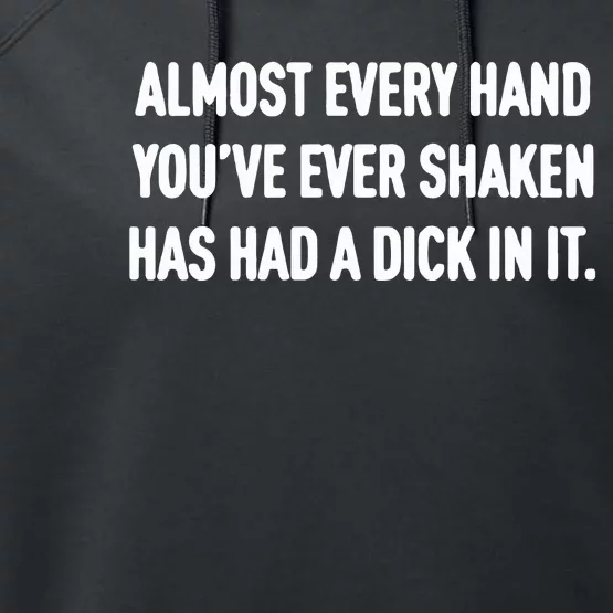 Almost Every Hand You’Ve Ever Shaken Has Had A Dick In It Performance Fleece Hoodie