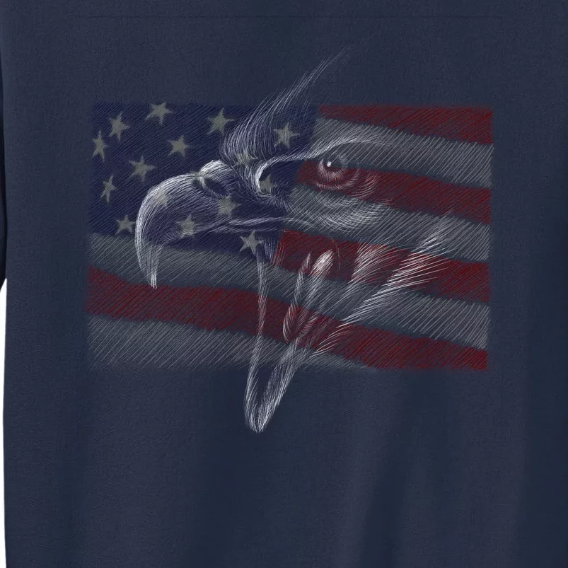 American Eagle Illustration Art Sweatshirt