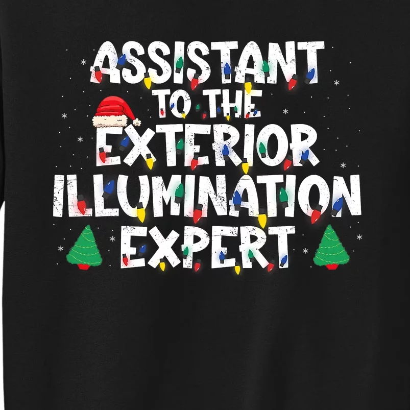 Assistant Exterior Illumination Expert Christmas Lights Hat Sweatshirt