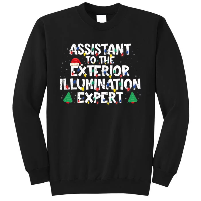 Assistant Exterior Illumination Expert Christmas Lights Hat Sweatshirt