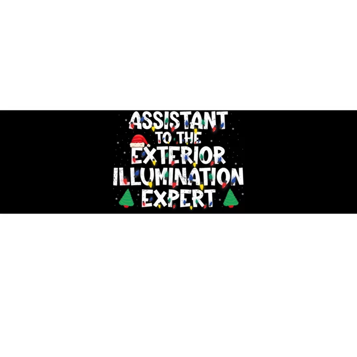 Assistant Exterior Illumination Expert Christmas Lights Hat Bumper Sticker