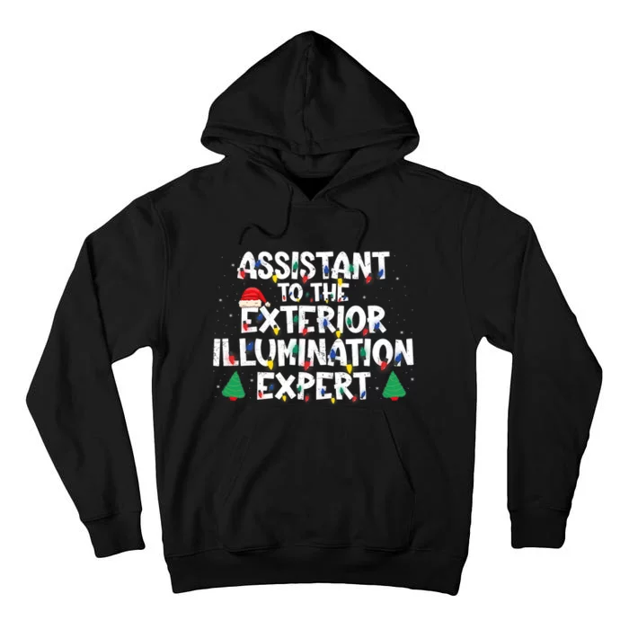 Assistant Exterior Illumination Expert Christmas Lights Hat Tall Hoodie