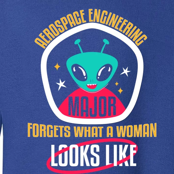 Aerospace Engineering Major Forgets Rocket Scientists Gift Toddler Sweatshirt