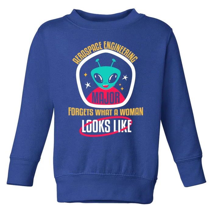 Aerospace Engineering Major Forgets Rocket Scientists Cute Gift Toddler Sweatshirt