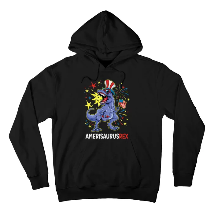 American Flag 4th Of July T Rex Dinosaur Amerisaurus Rex Boy Hoodie