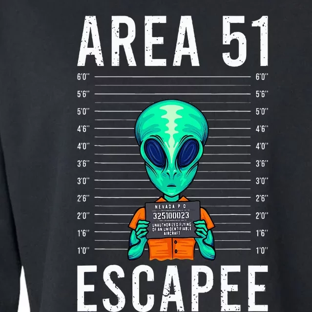 Alien Funny Alien Lover UFO Area 51 Alien Humor Alien Cropped Pullover Crew