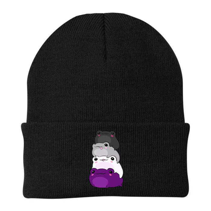 Asexual Flag Color Frog Subtle Queer Pride Lgbtq Aesthetic Knit Cap Winter Beanie