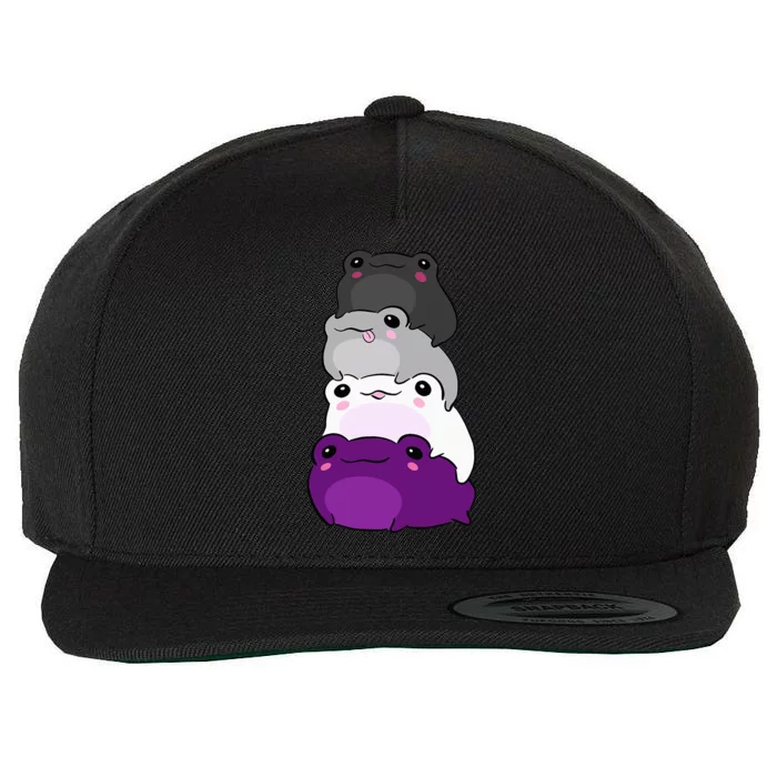 Asexual Flag Color Frog Subtle Queer Pride Lgbtq Aesthetic Wool Snapback Cap