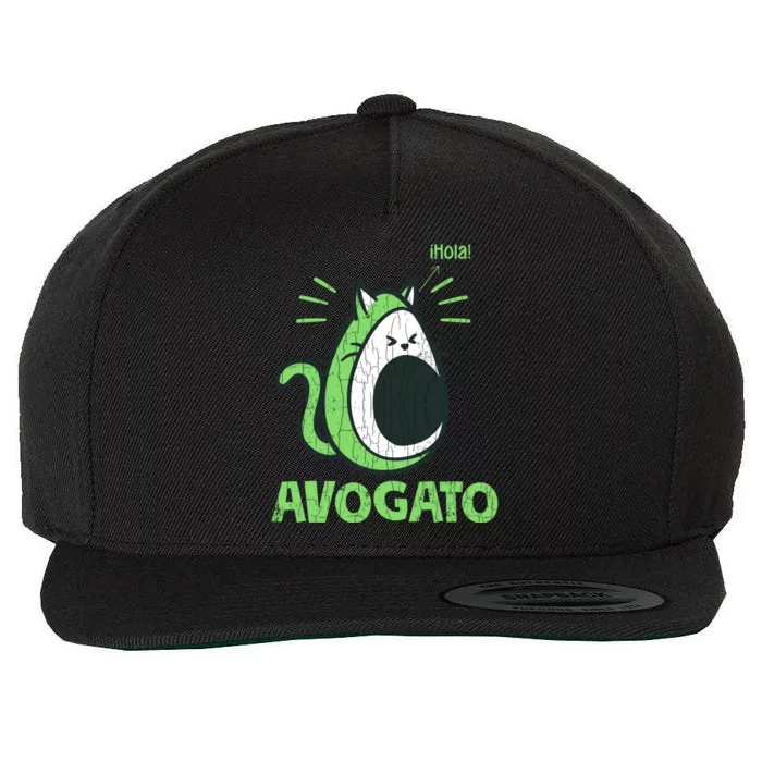 Avogato Funny Cat Owner Graphic Gift Wool Snapback Cap