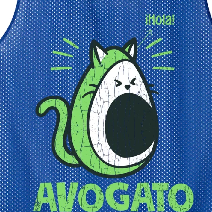 Avogato Funny Cat Owner Graphic Gift Mesh Reversible Basketball Jersey Tank