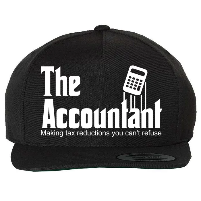 Accountant Funny Cpa Gift Accountant Humor Spoof Gift Wool Snapback Cap