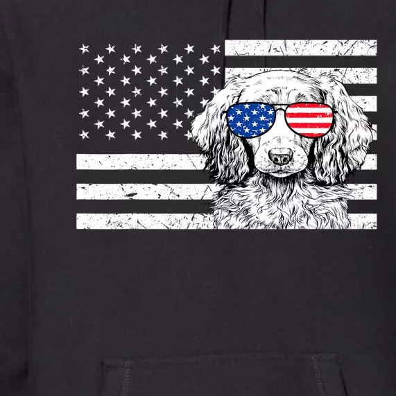 American Flag Dachshund Weiner Dog Us Patriotic Gift Premium Hoodie