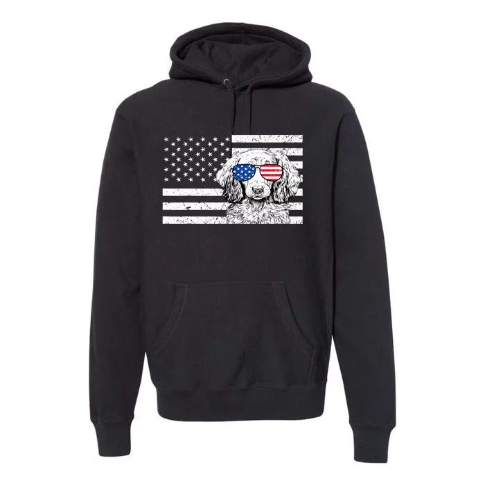 American Flag Dachshund Weiner Dog Us Patriotic Gift Premium Hoodie