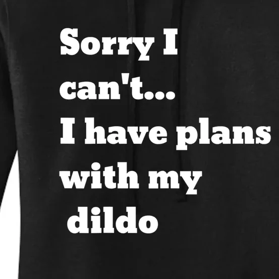 A Funny Gift Sorry I Can't I Have Plans With My Dildo Women's Pullover Hoodie