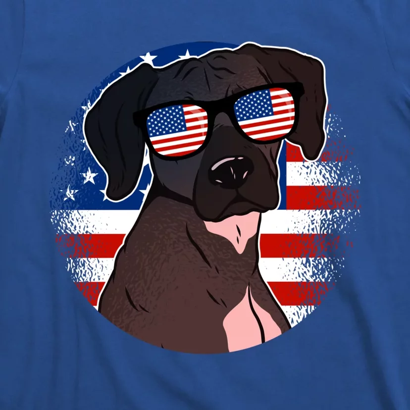 America Funny Gift T-Shirt