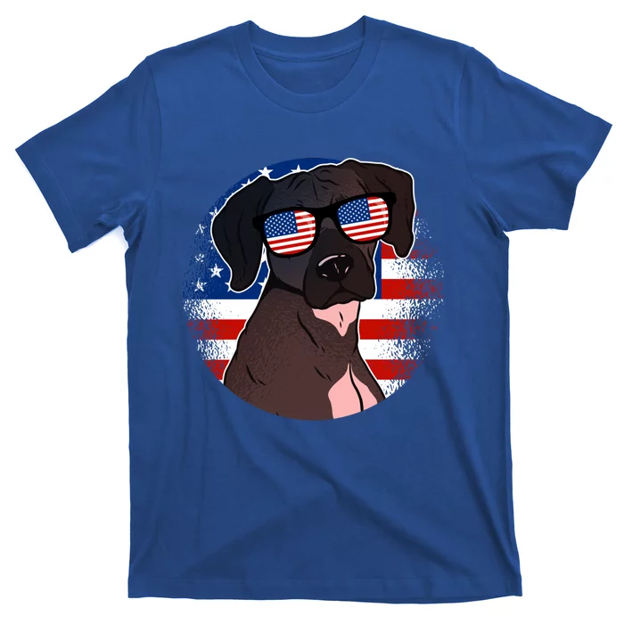 America Funny Gift T-Shirt