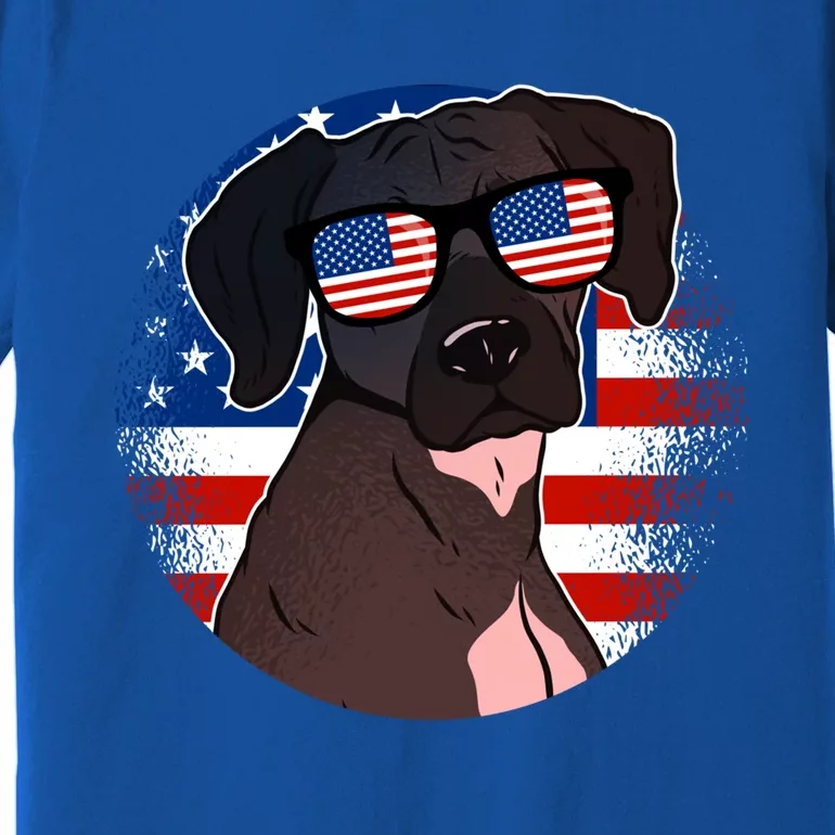 America Funny Gift Premium T-Shirt