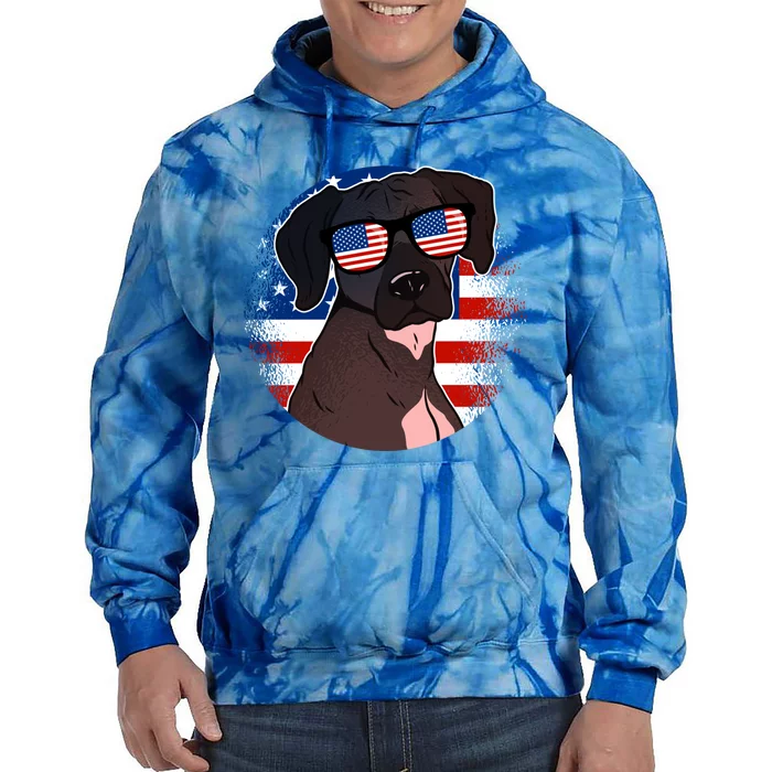 America Funny Gift Tie Dye Hoodie