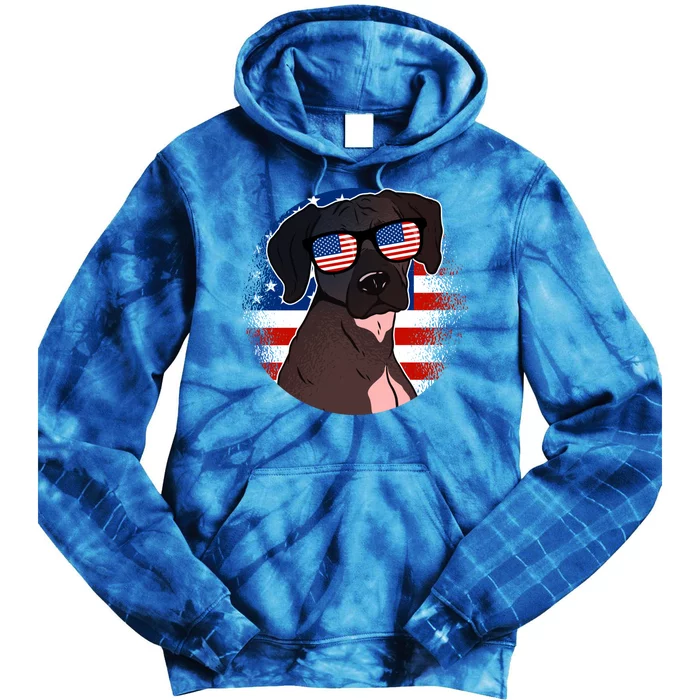 America Funny Gift Tie Dye Hoodie