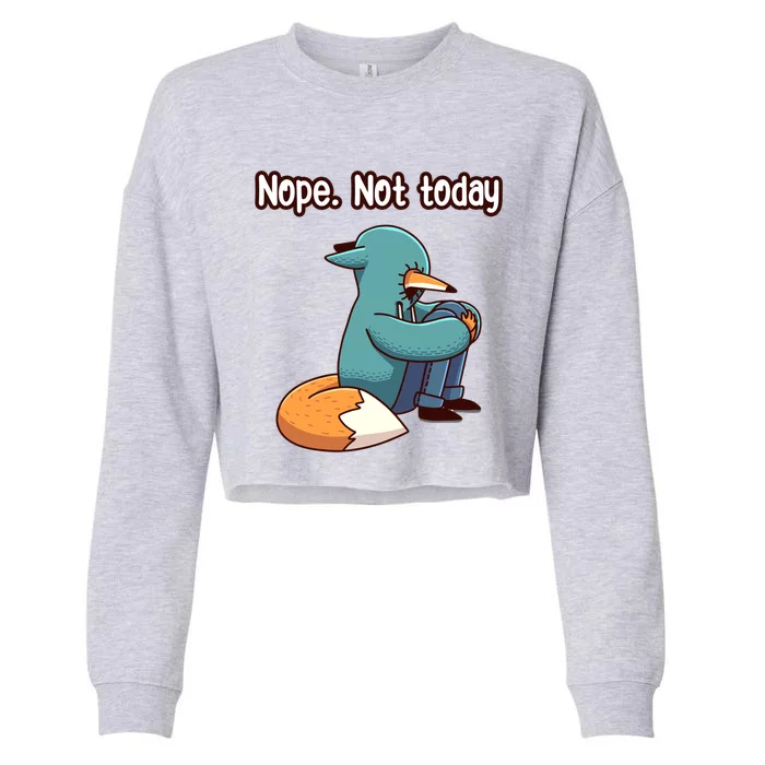 A Funny Hiding Fox Nope Not Today Gift Cropped Pullover Crew