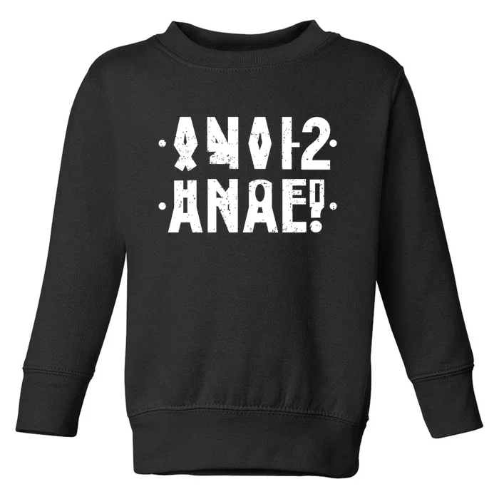 Anal Funny Hidden Message Anal? Distressed Toddler Sweatshirt