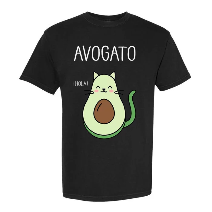 Avogato Funny Hola Retro Cat Avocado Cinco De Mayo Garment-Dyed Heavyweight T-Shirt