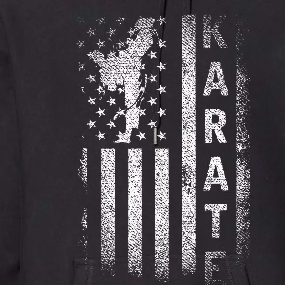 America Flag Japan Martial Arts Ninja Gift Karate Premium Hoodie