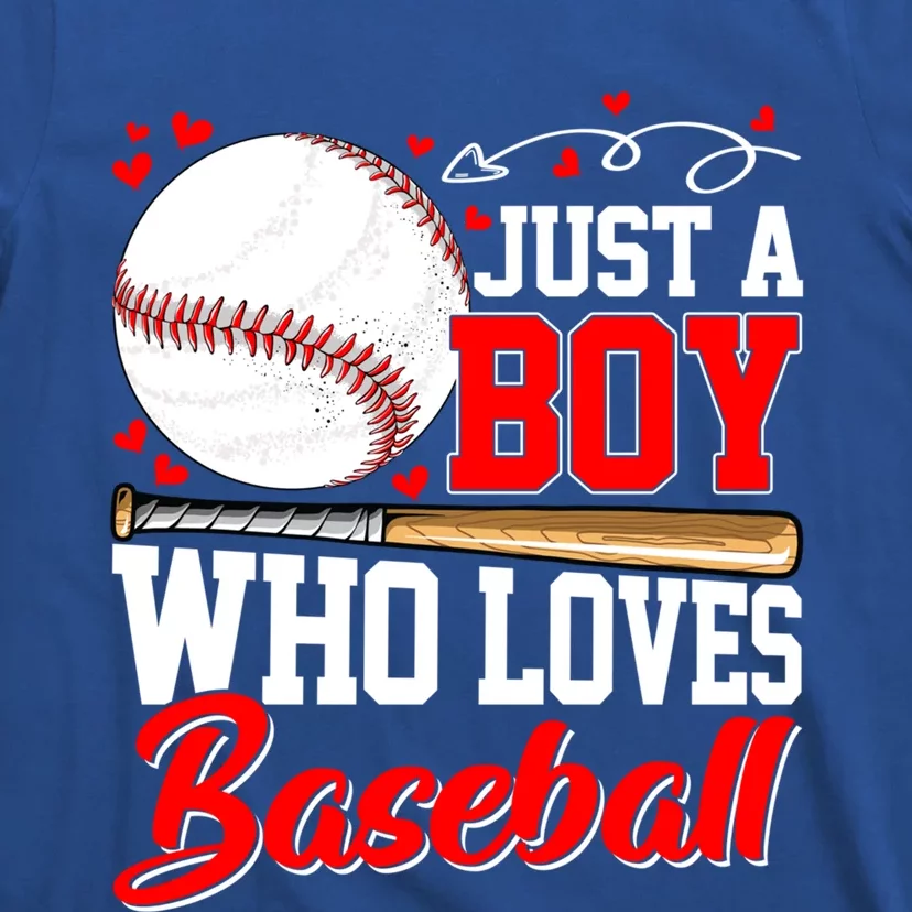 American Flag Just A Who Loves Baseball Gift T-Shirt