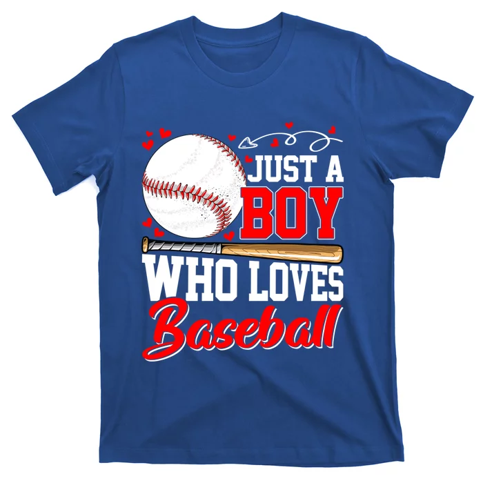 American Flag Just A Who Loves Baseball Gift T-Shirt