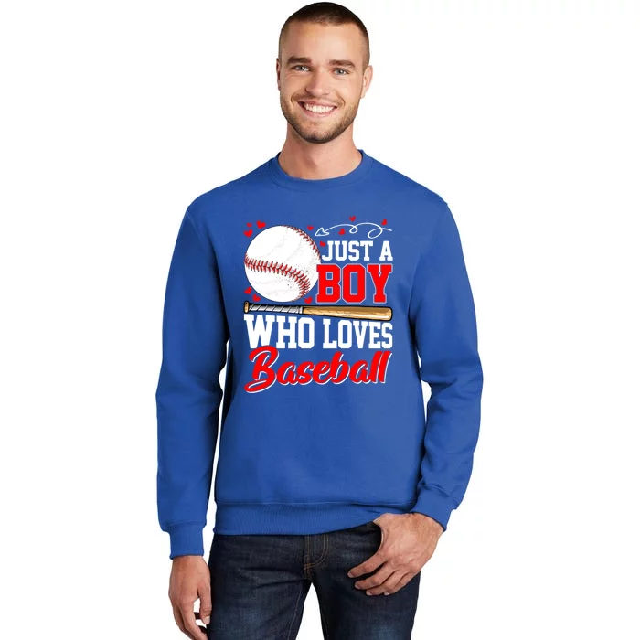 American Flag Just A Who Loves Baseball Gift Tall Sweatshirt