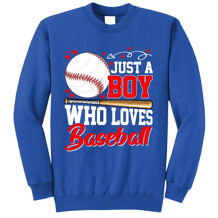 American Flag Just A Who Loves Baseball Gift Tall Sweatshirt