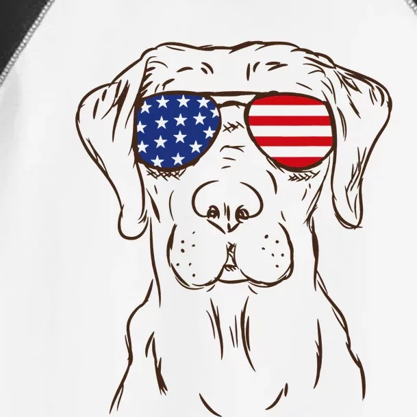 American Flag Labrador Retriever Patriotic 4th Of July Gifts Toddler Fine Jersey T-Shirt