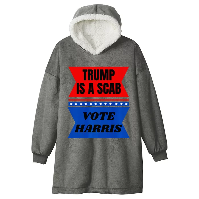 Antitrump Fun Laundry Detergent Vote Harris 2024 Election Hooded Wearable Blanket