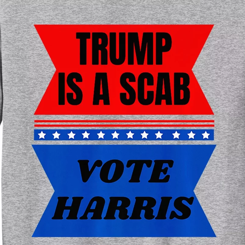 Antitrump Fun Laundry Detergent Vote Harris 2024 Election Tall Sweatshirt