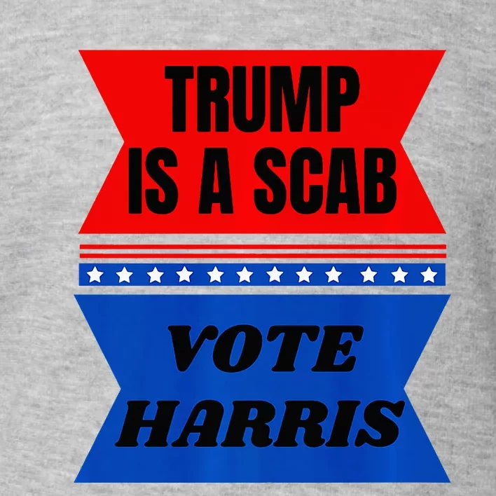 Antitrump Fun Laundry Detergent Vote Harris 2024 Election Toddler Sweatshirt