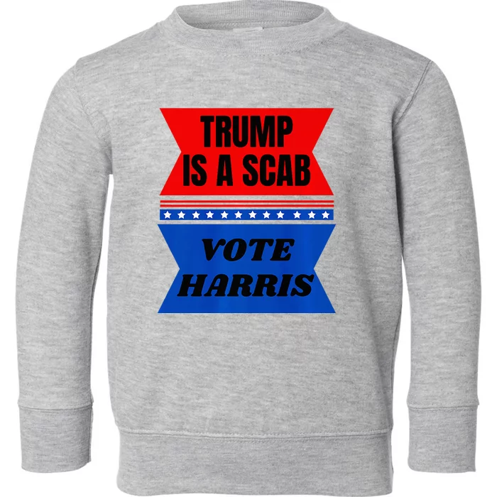 Antitrump Fun Laundry Detergent Vote Harris 2024 Election Toddler Sweatshirt