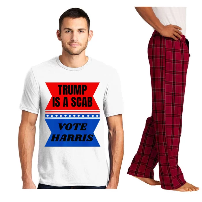 Antitrump Fun Laundry Detergent Vote Harris 2024 Election Pajama Set