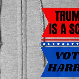 Antitrump Fun Laundry Detergent Vote Harris 2024 Full Zip Hoodie