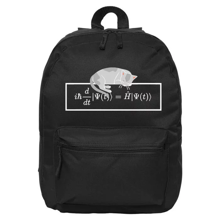 Adi Foord Phd SchröDinger Equation Cat 16 in Basic Backpack