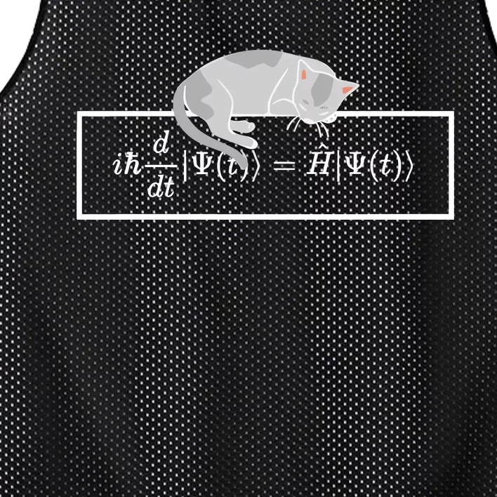 Adi Foord Phd SchröDinger Equation Cat Mesh Reversible Basketball Jersey Tank