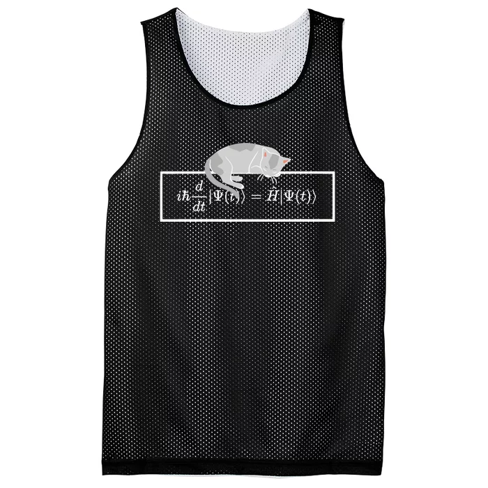 Adi Foord Phd SchröDinger Equation Cat Mesh Reversible Basketball Jersey Tank