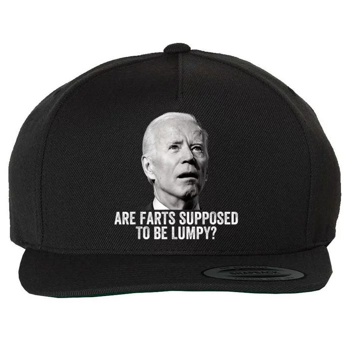 Are Farts Supposed To Be Lumpy Who Shit My Pants Wool Snapback Cap