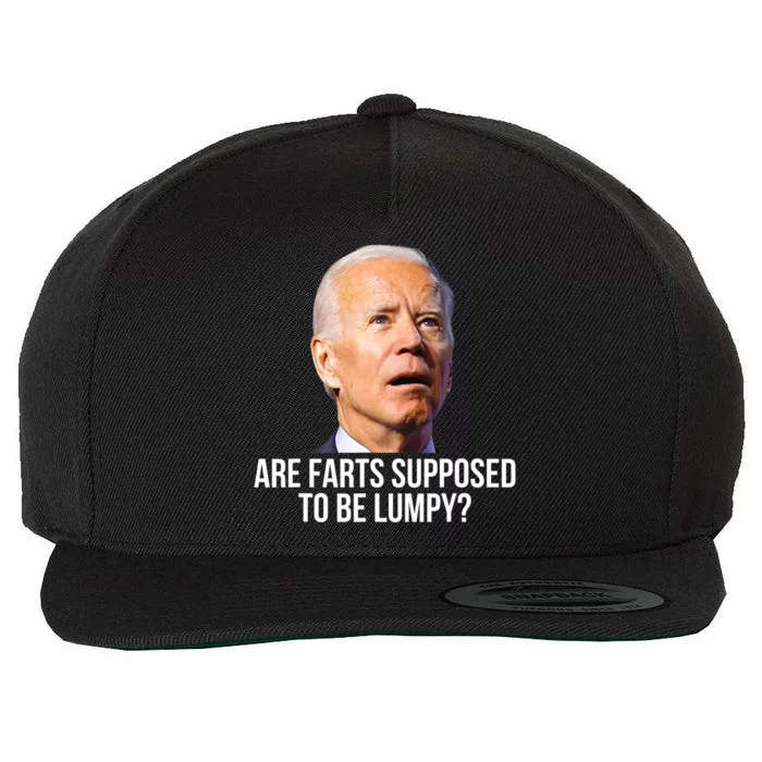 Are Farts Supposed To Be Lumpy ? Who Shit My Pants Wool Snapback Cap