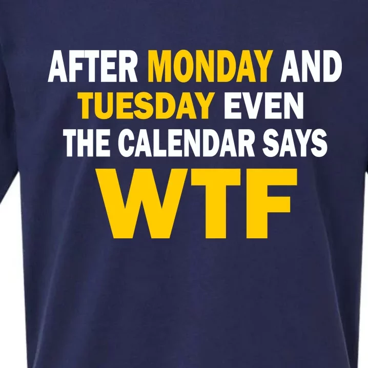 After Monday and Tuesday WTF Sueded Cloud Jersey T-Shirt