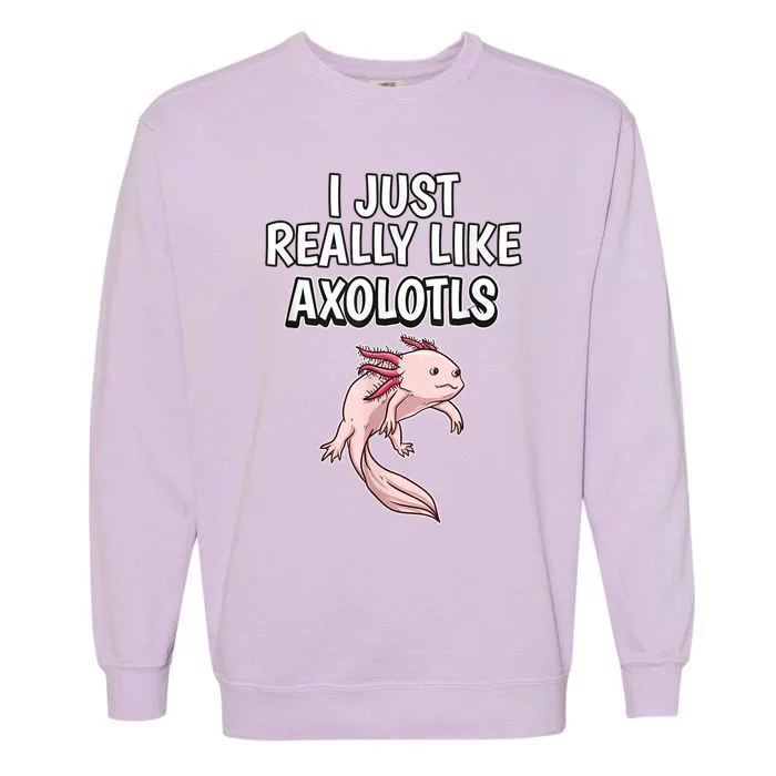 Axolotl Gift Axolotl Stuff Anatomy Of An Axolotl 26 Garment-Dyed Sweatshirt