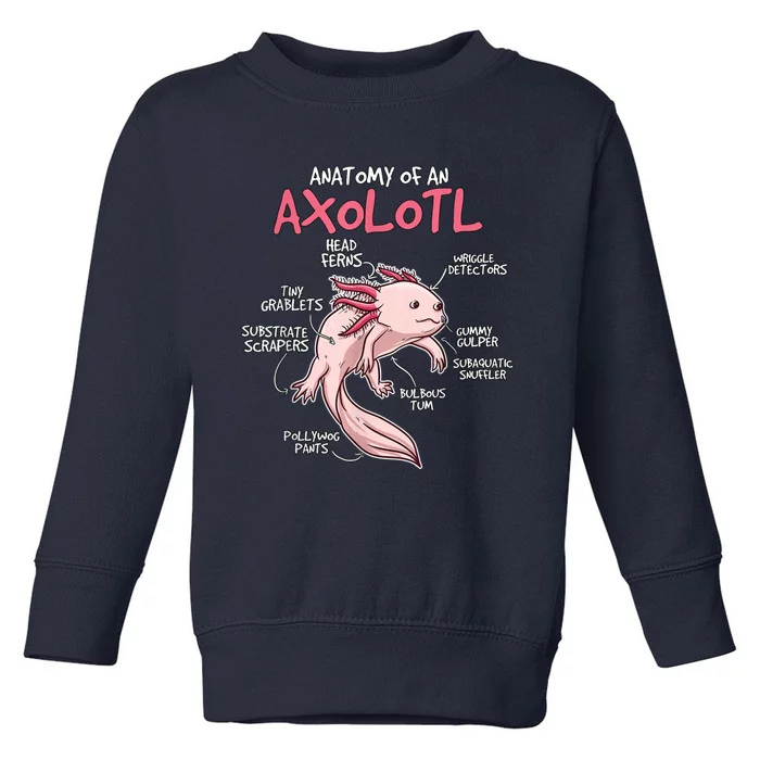 Axolotl Gift Axolotl Stuff Anatomy Of An Axolotl Toddler Sweatshirt