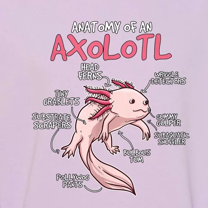 Axolotl Gift Axolotl Stuff Anatomy Of An Axolotl Garment-Dyed Sweatshirt