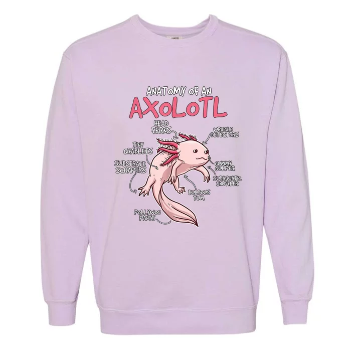 Axolotl Gift Axolotl Stuff Anatomy Of An Axolotl Garment-Dyed Sweatshirt