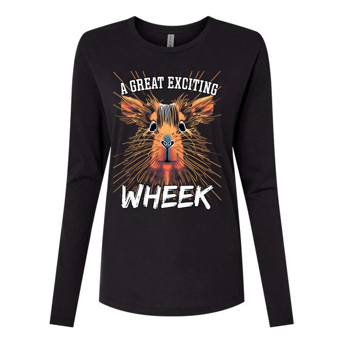 A Great Exciting Week Or Wheek Guinea Pig Gift Womens Cotton Relaxed Long Sleeve T-Shirt